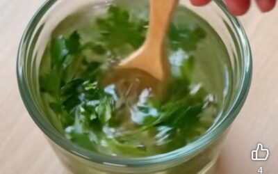 Infusión de Hierbas Ancestrales para Limpiar los Riñones y Eliminar Toxinas